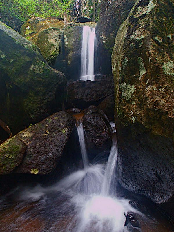 28a Geissmann Street Tamborine Mountain QLD 4272 - horseproperty.com.au