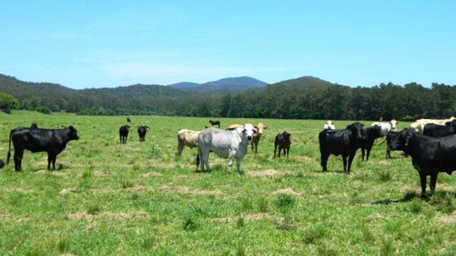 Address available by request