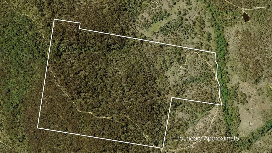 323 North Black Range Fire Trl Mulloon NSW 2622