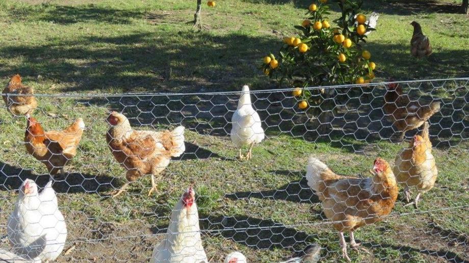 Address available by request