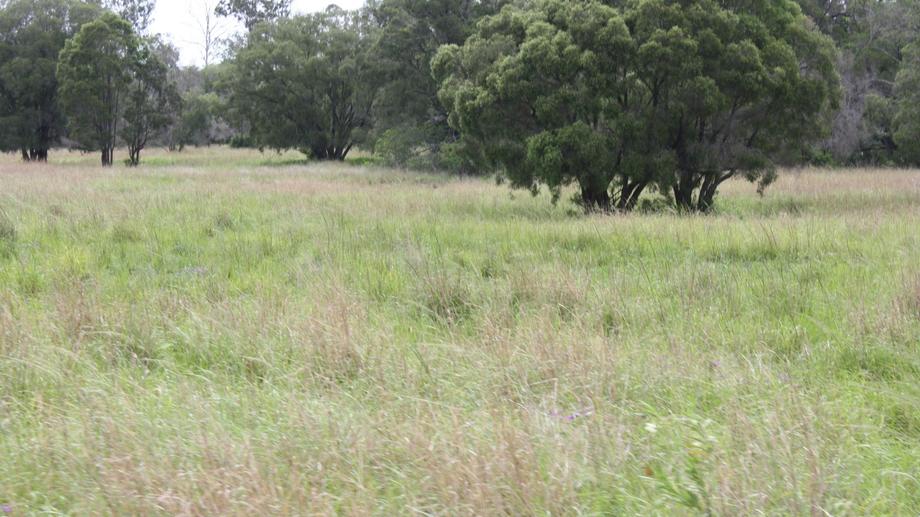 Address available by request