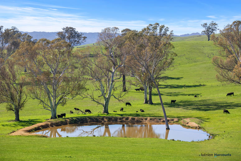 2222 Goulburn Valley Highway Alexandra VIC 3714