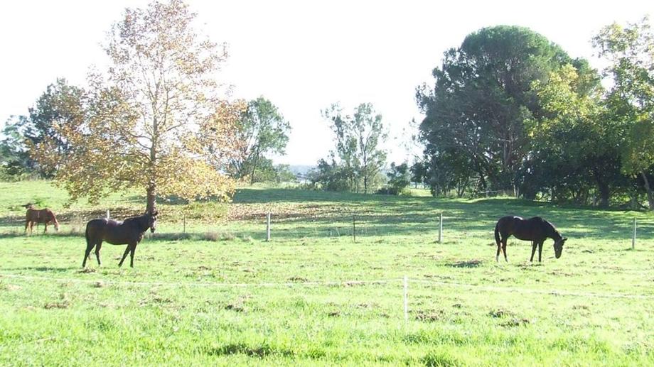 8 Giblin Place Euroka NSW 2440