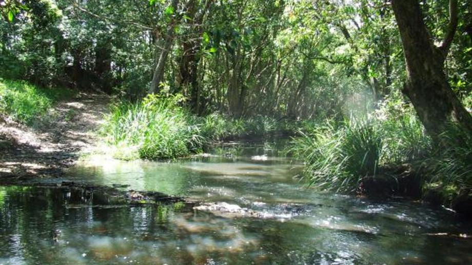 Address available by request