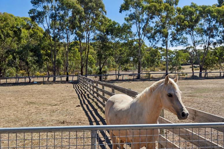 100 McKinleys Road Clunes VIC 3370