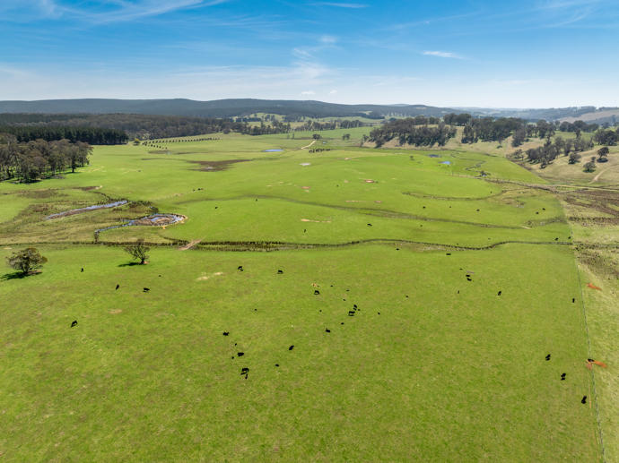 224 Cranfield Road Chatham Valley NSW 2787