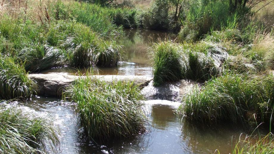 Address available by request