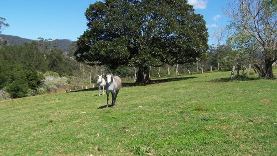 Address available by request