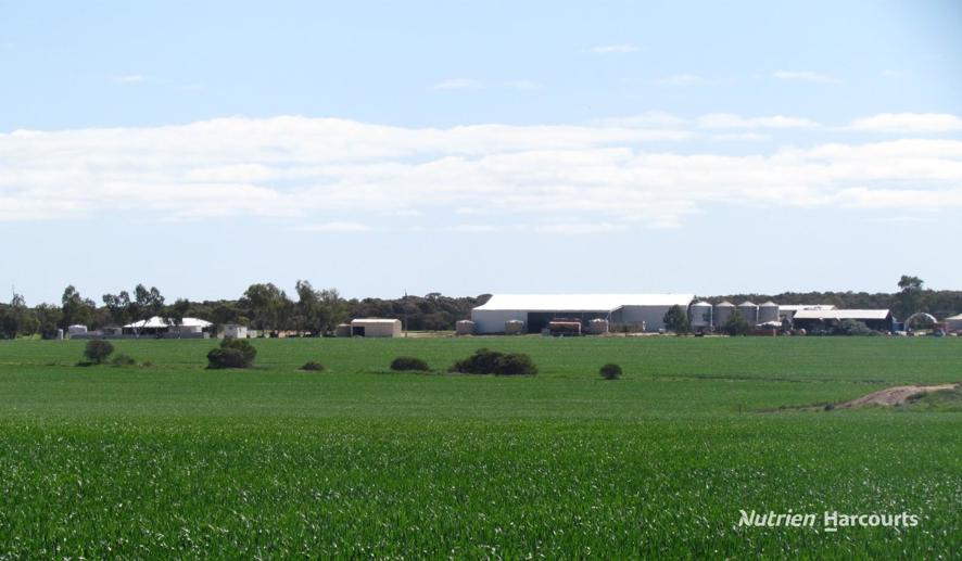 1518 Forte Road Latham WA 6616