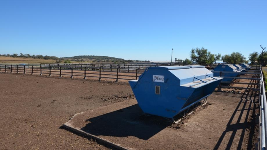 102 Crighton Road Biddeston QLD 