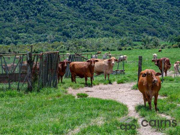 Lot 3/505 Mourilyan Harbour Road Mourilyan Harbour QLD 4858