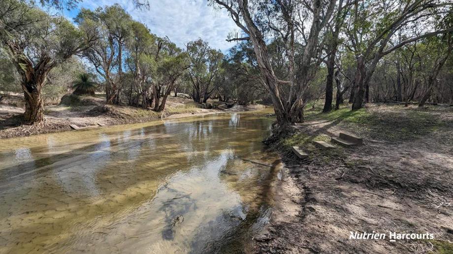 1196 Bennies Road Wanerie WA 6503