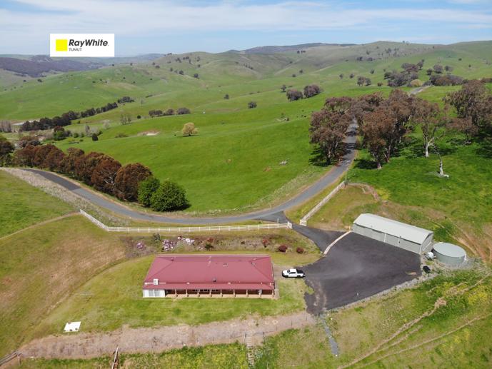 210 Sharps Creek Road Adelong NSW 2729