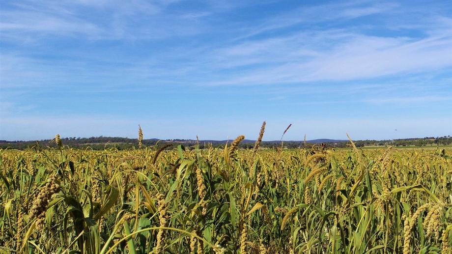 1911 Kooroongarra Road Millmerran QLD 4357