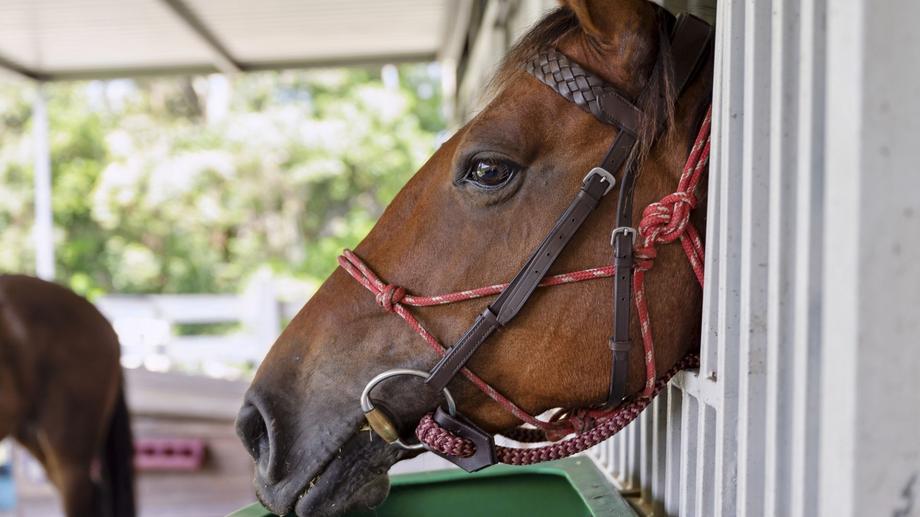 853  Bowraville Road Brierfield NSW 2454