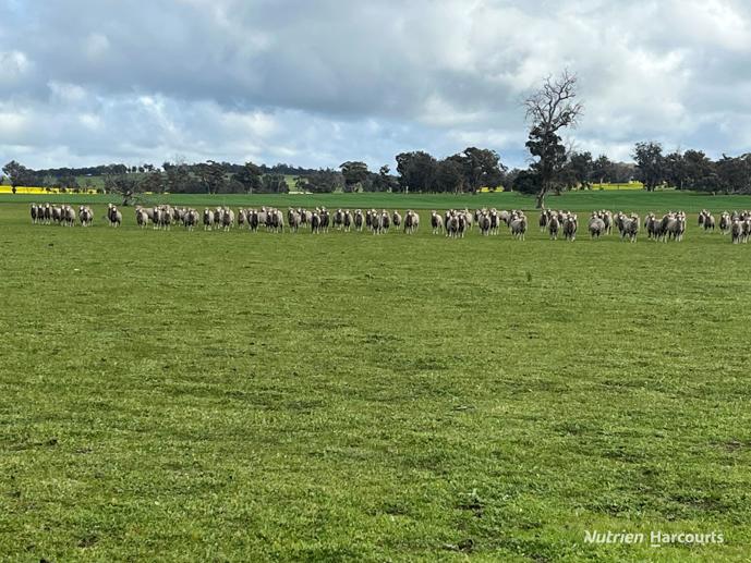 Lot 4572 Gorn Road Bokal WA 6392