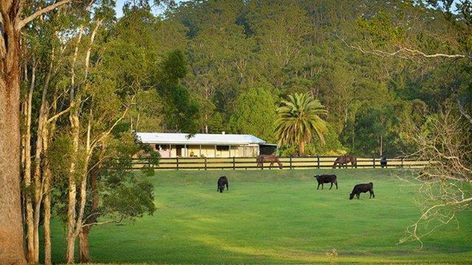 136 Dales Rd Chevallum QLD 