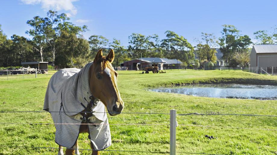 867-871 Castlereagh Road Castlereagh NSW 2749