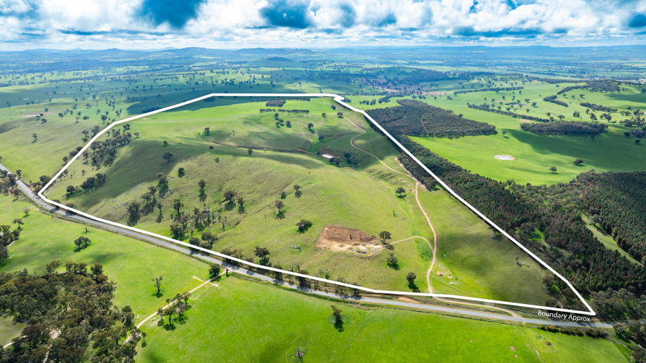 1510 Culcairn Holbrook Road Morven NSW 2660