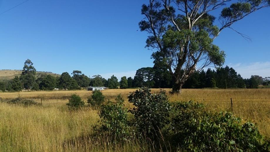  Greenes Lane Gordon VIC 3345