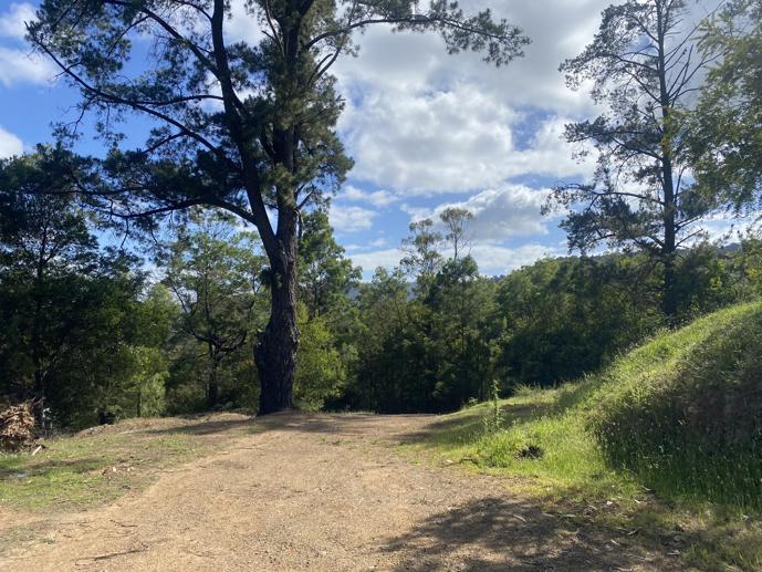 142 Taylor Bay Right Arm Road Taylor Bay VIC 3713