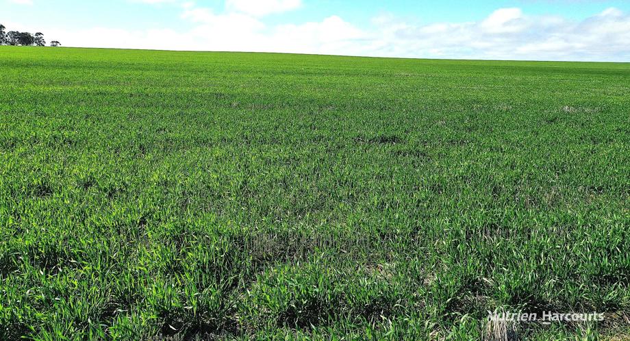 1905 Dalwallinu West Road Miling WA 6575