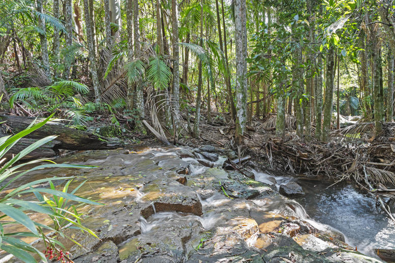 28a Geissmann Street Tamborine Mountain QLD 4272