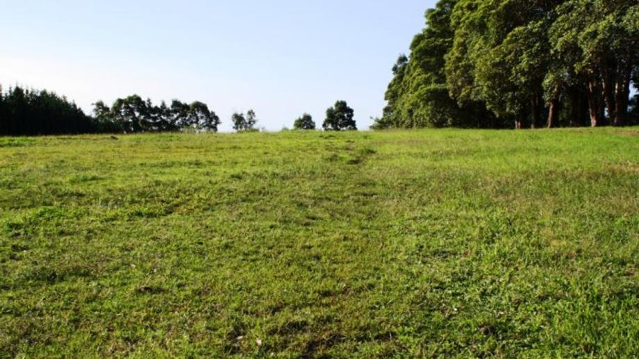 14 Fuggles Road Kenthurst NSW 