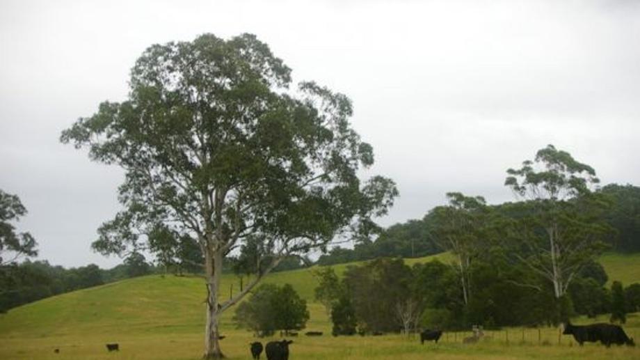 Address available by request