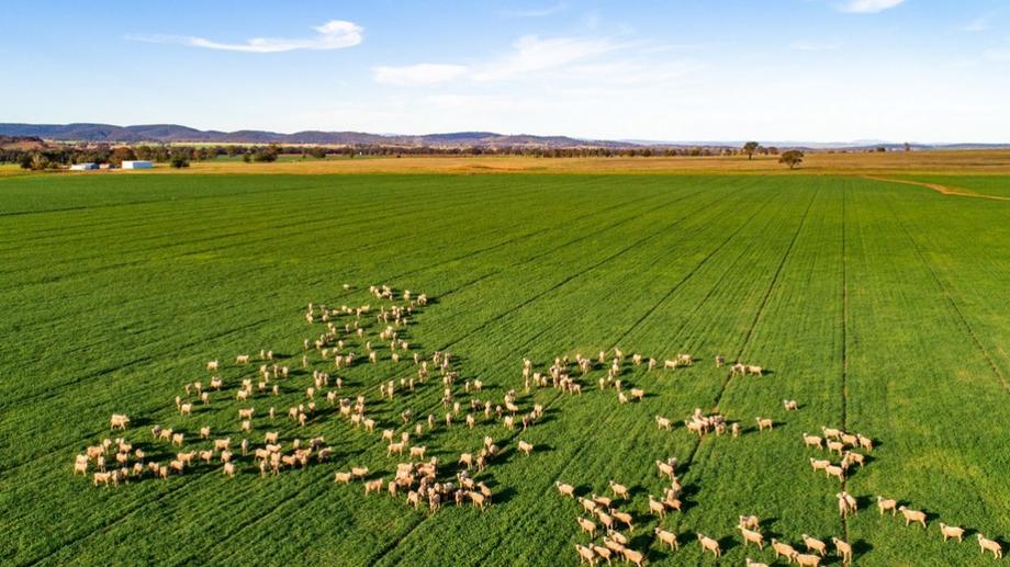 58 Sugarloaf Lane Canowindra NSW 2804