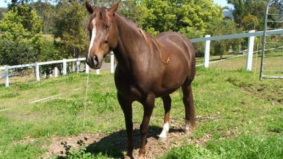 Address available by request