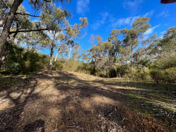 52 Taylor Bay Road Taylor Bay VIC 3713