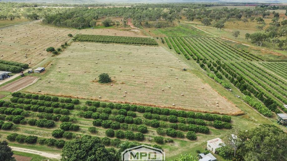 336 Fichera Road Mareeba QLD 4880