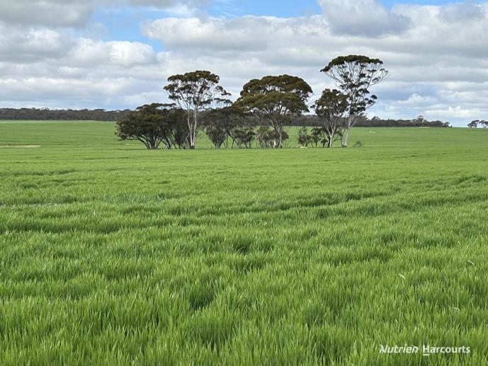 1255 Kukerin South Road ((Lot 14965) Kukerin WA 6352