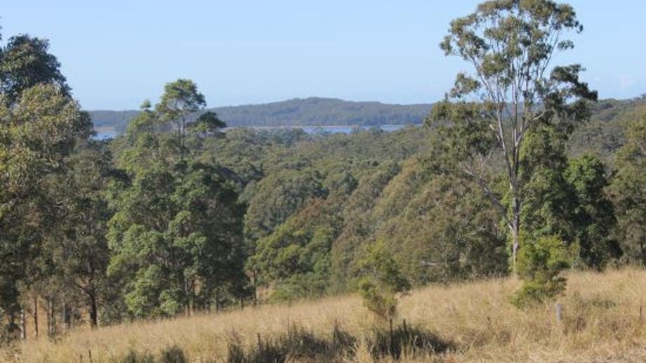 Address available by request