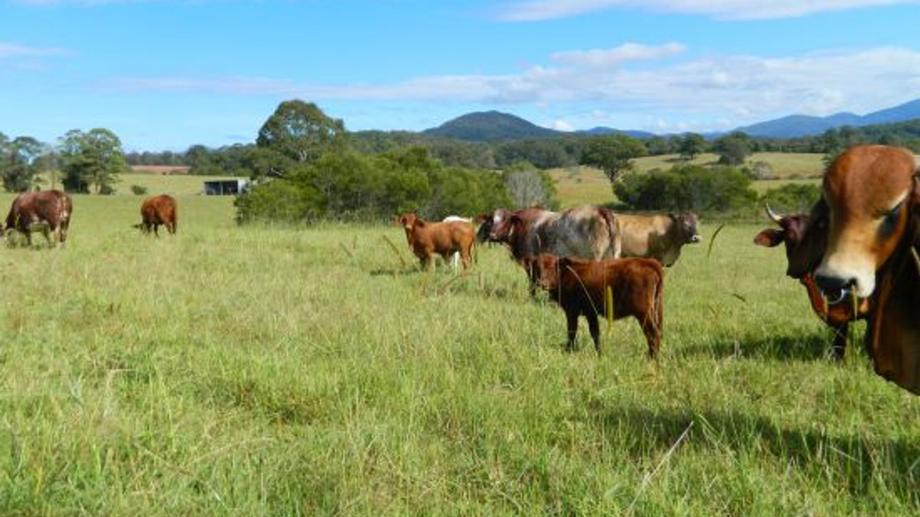 Address available by request