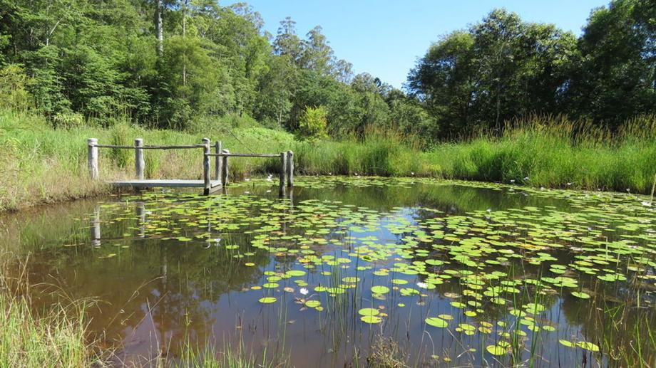 311 SUNDOWNER ROAD Millbank NSW 2440