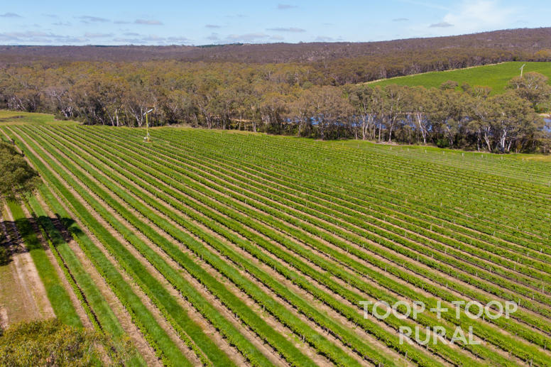  Tanunda Creek Road Flaxman Valley SA 5235