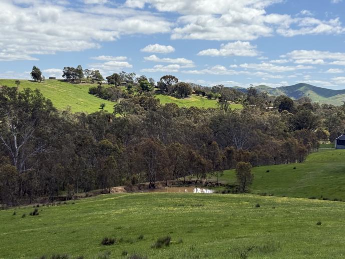85 Halls Flat Road Alexandra VIC 3714