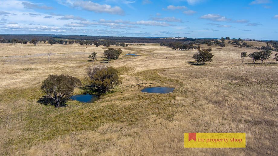 86 Brooklyn Road Dunedoo NSW 2844