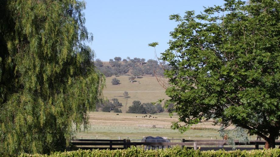 1310 Duri Dungowan Road  NSW 