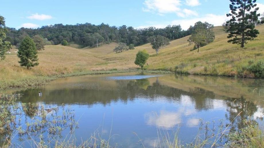 LOT 31 Collins Creek Road - Collins Creek Kyogle NSW 2474