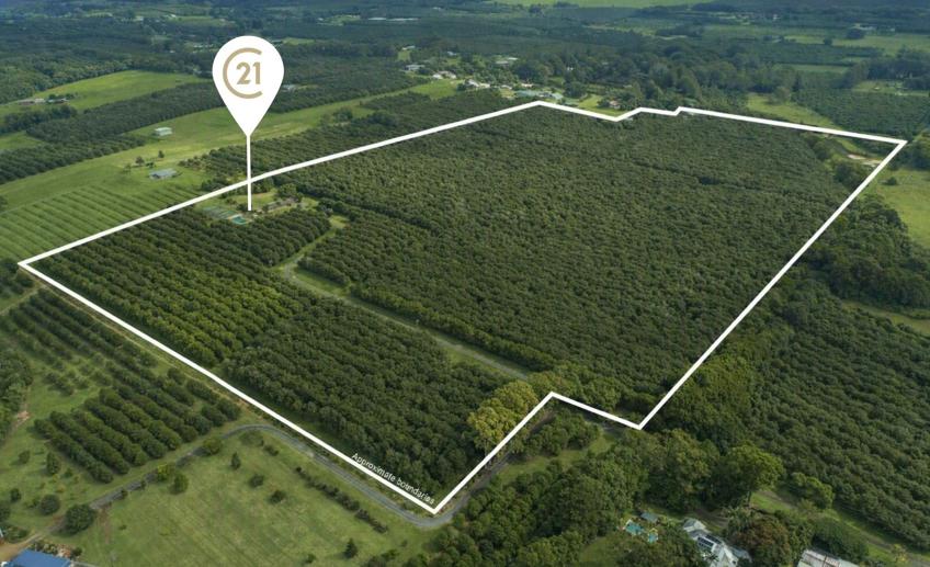 425 Wardell Road Alstonville NSW 2477