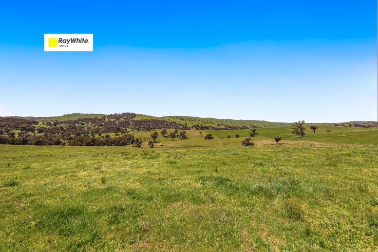 1260 Wondalga Road Adelong NSW 2729