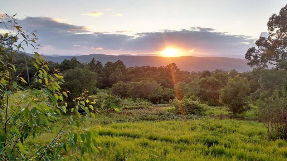 369 Main Creek Road Main Creek NSW 2420