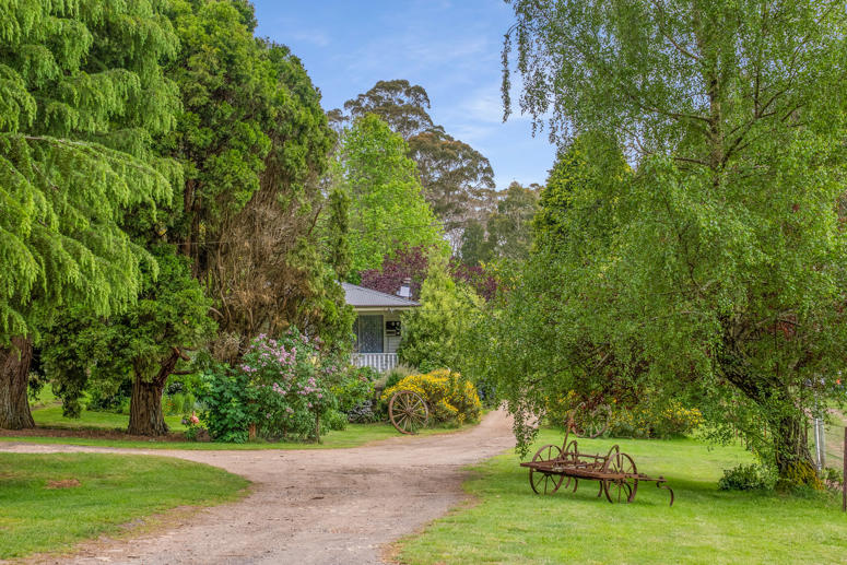 1205 Sunny Corner Road Sunny Corner NSW 2795