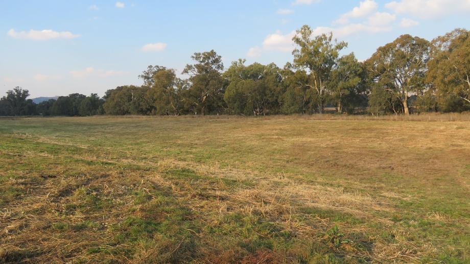 12 Camp Street Gundagai NSW 2722