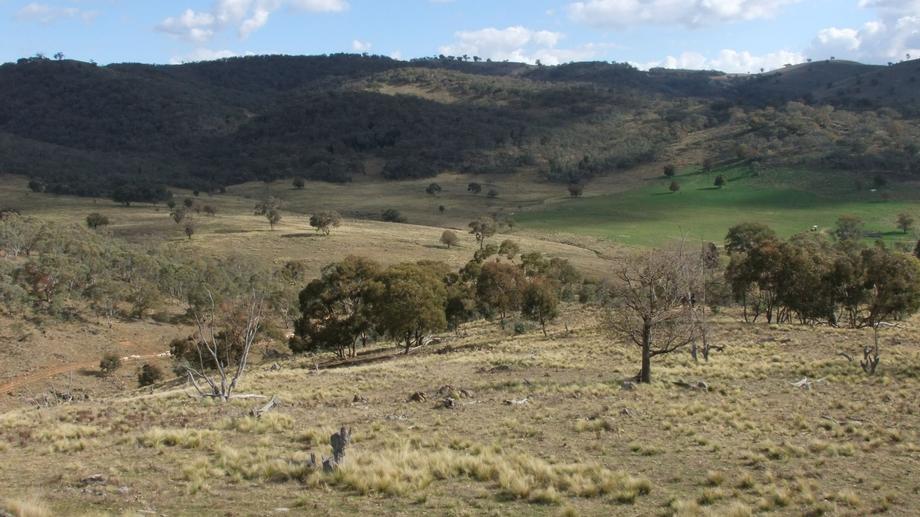 2661 The Bridle Track Bruinbun NSW 2795