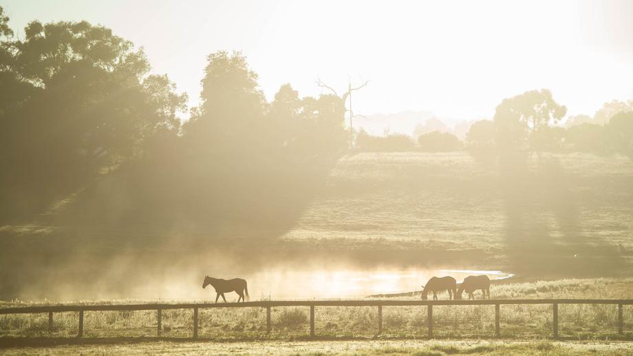 154 Diggings Road (adj. Mylor &amp; Echunga) Chapel Hill SA 5153