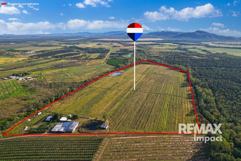 67 East Dawson Road Mutchilba QLD 4872